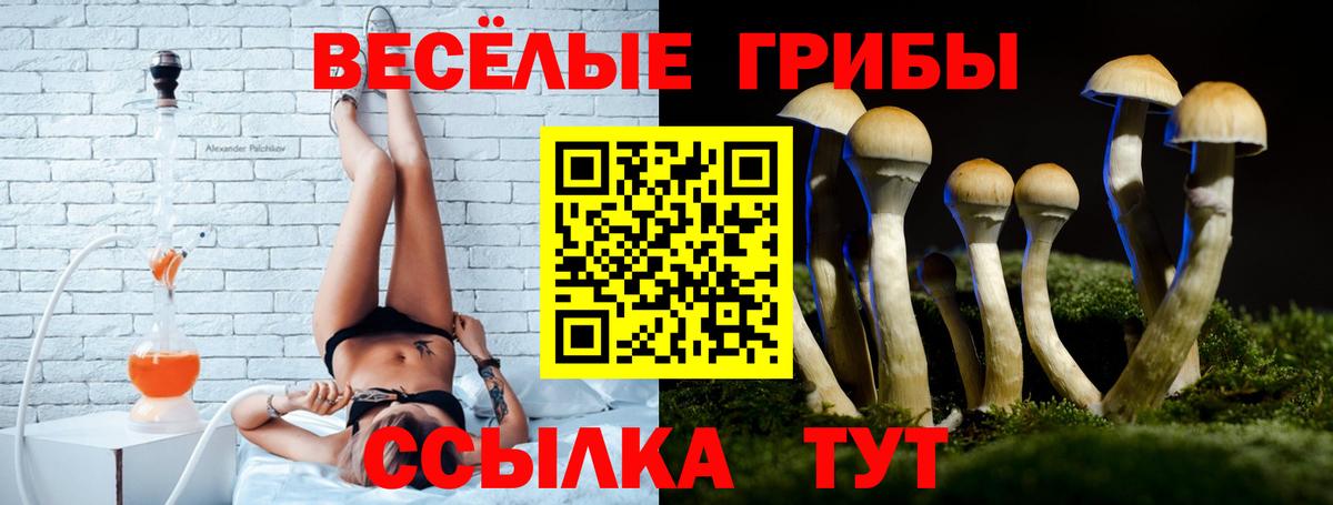 как найти   Копейск  Псилоцибиновые грибы MAGIC MUSHROOMS 